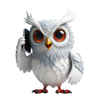 wiselio-footer copy